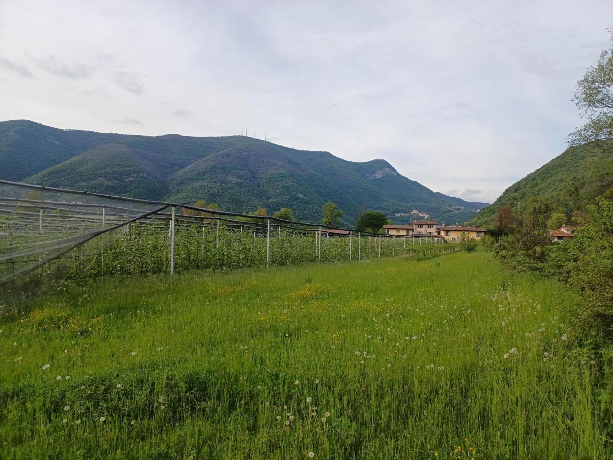 Cascina Legnago Bilocale A 6 Chilometri Da Salo' Villanuova sul clisi Exterior foto