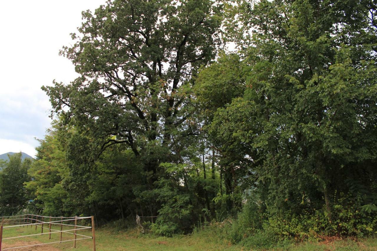 Cascina Legnago Bilocale A 6 Chilometri Da Salo' Villanuova sul clisi Exterior foto