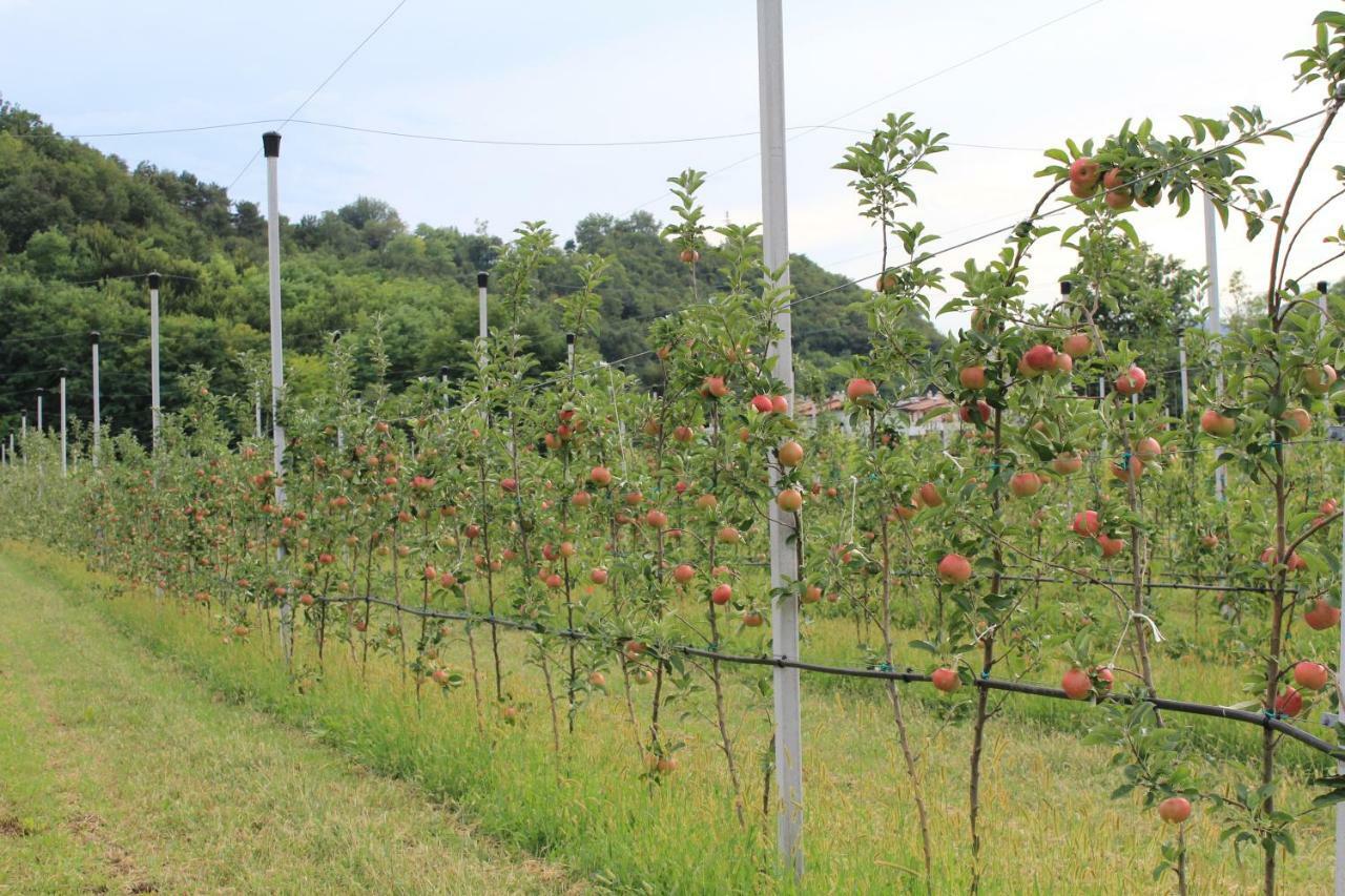 Cascina Legnago Bilocale A 6 Chilometri Da Salo' Villanuova sul clisi Exterior foto