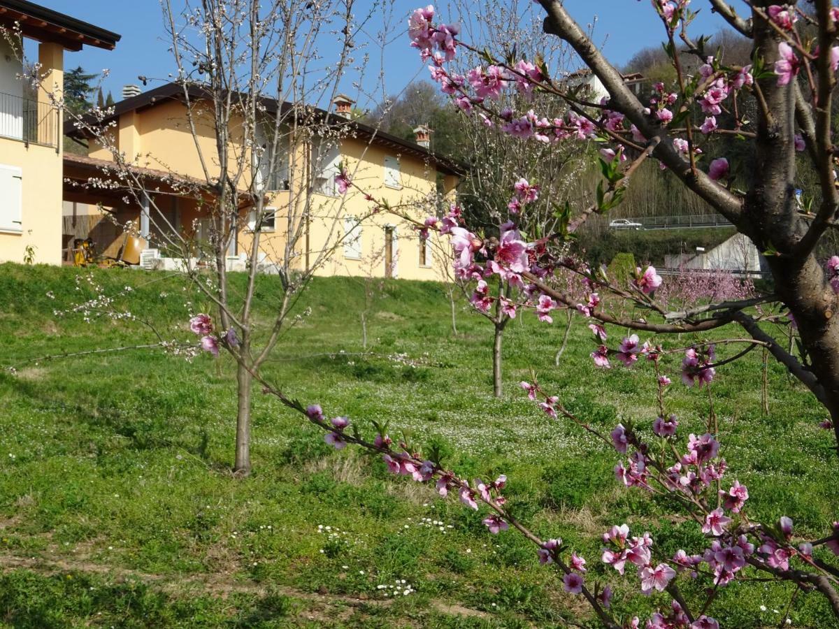Cascina Legnago Bilocale A 6 Chilometri Da Salo' Villanuova sul clisi Exterior foto